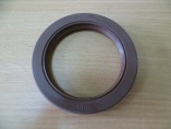 TCN 52*75*12 VITON  (AP2967-J) Сальник - exkavator66.ru - Екатеринбург